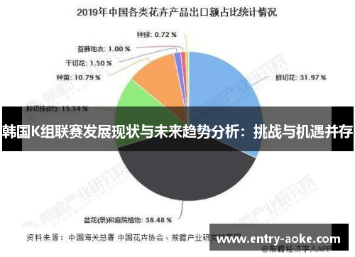 韩国K组联赛发展现状与未来趋势分析：挑战与机遇并存